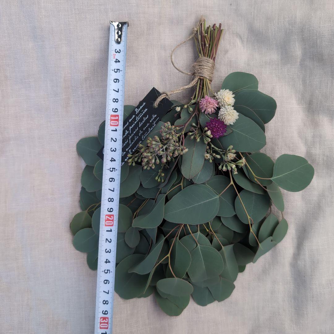 メル86631様ご相談中　ユーカリの500円スワッグ　千日紅を添えて