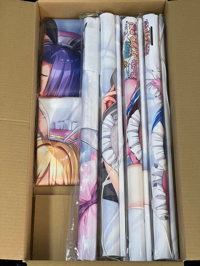 ラファエル様専売 連絡用 アニメタペストリー多数セット