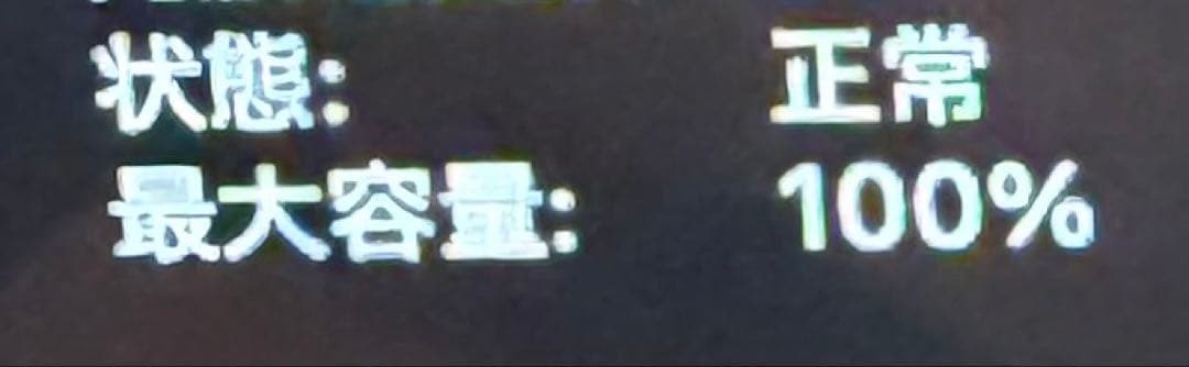 C*a様 MacBookAir 13インチ M4 16GB 512GB スカイブ