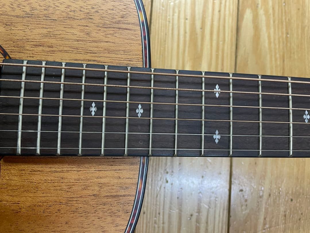 横*誠様 美品　Elvis Master Mini 10アコースティックギター