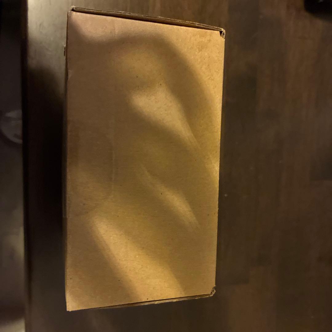 未開封　サンワサプライ 無線Webカメラ CMS-V65BK