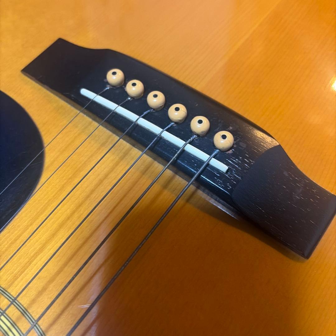 アコースティックギター　Morris 【送料無料】