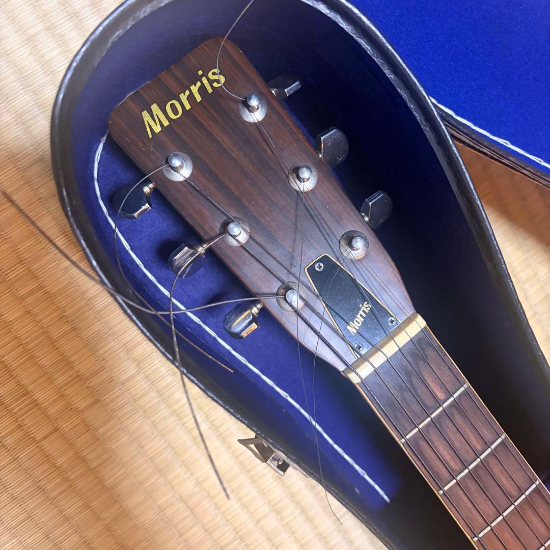 アコースティックギター　Morris 【送料無料】