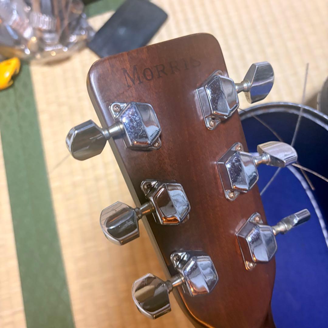 アコースティックギター　Morris 【送料無料】
