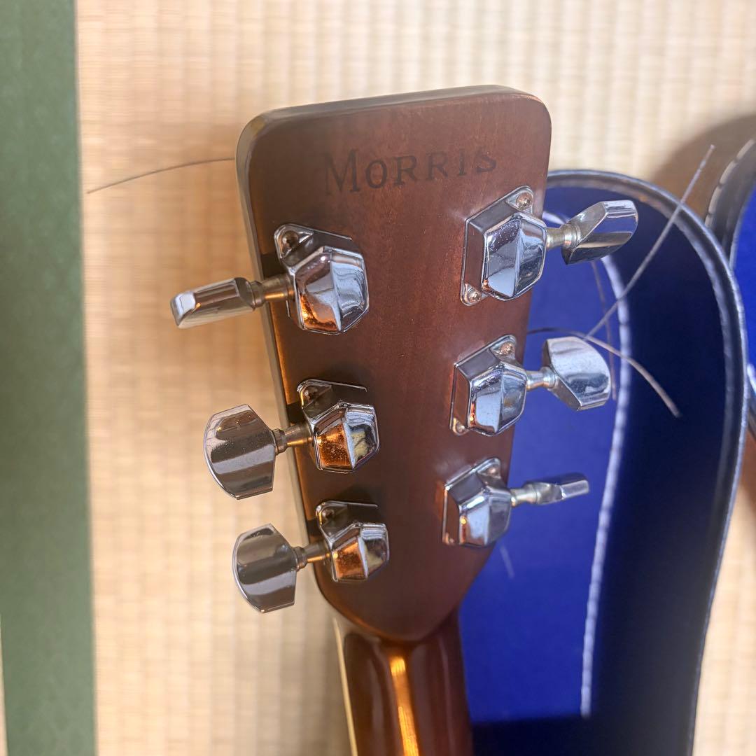 アコースティックギター　Morris 【送料無料】
