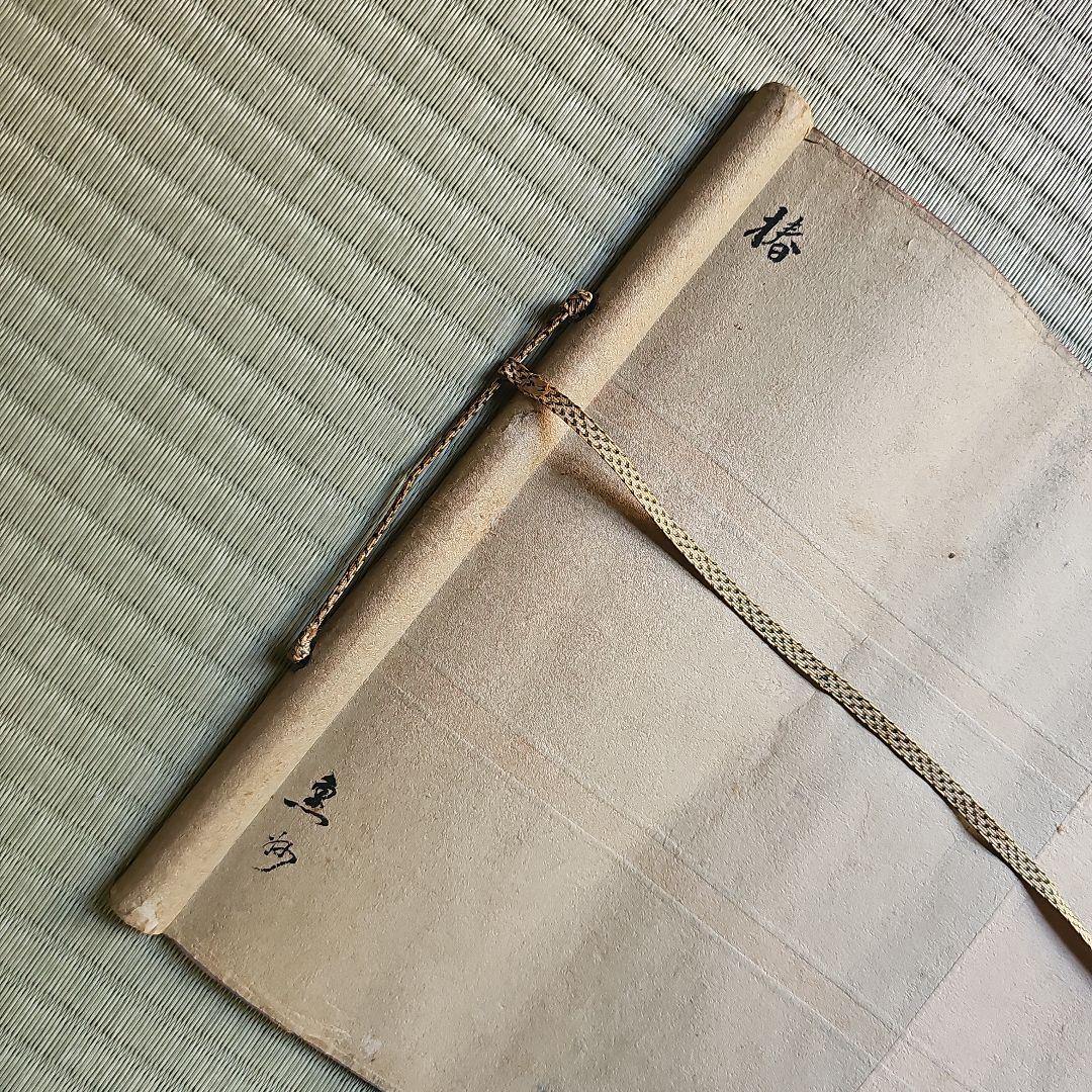 初期昭和レトロ/1950年代物/当時物】掛け軸 掛軸タイプ 紅椿一点雪 花柄