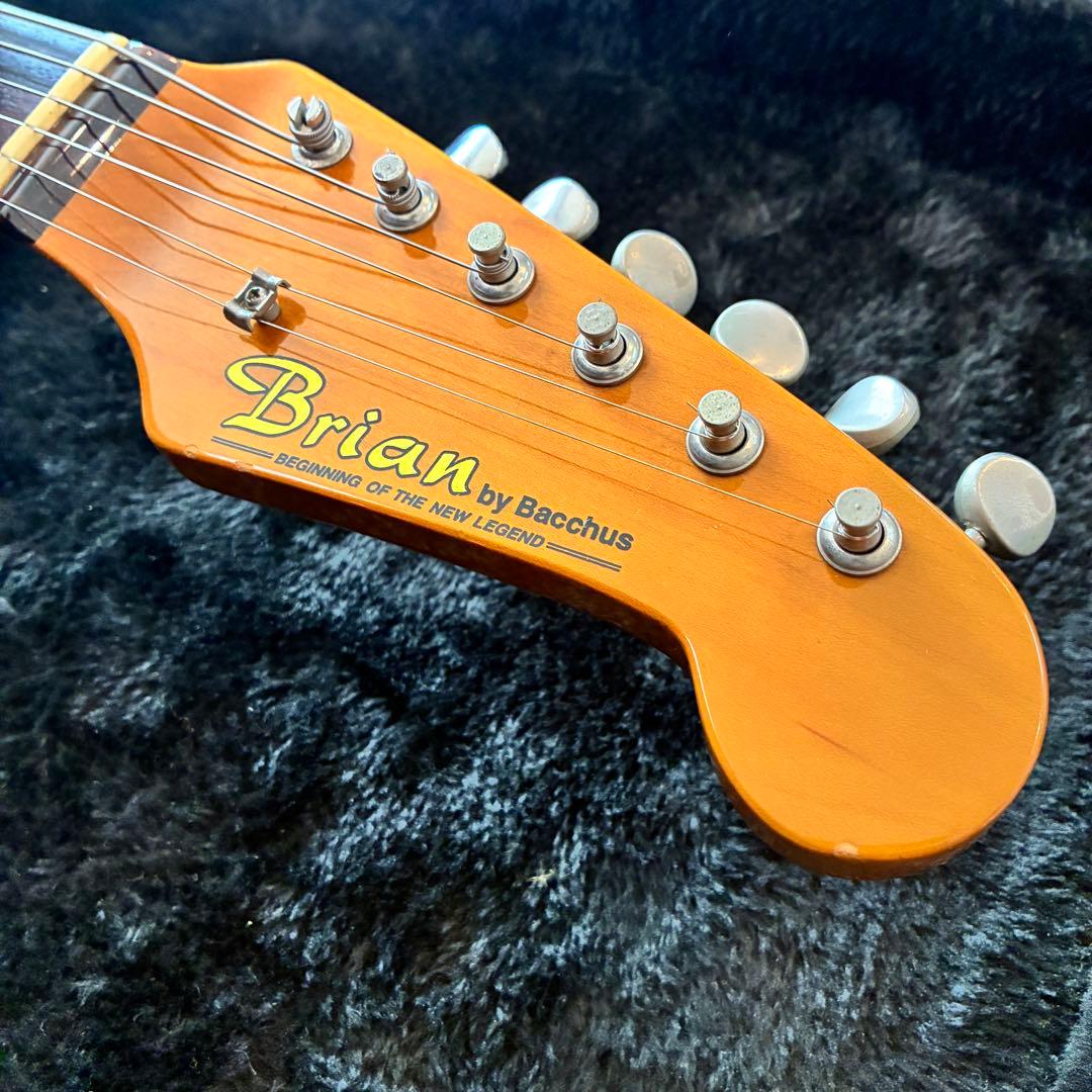 【希少ジャパンヴィンテージ】Brian テレキャスターカスタム　アッシュボディ