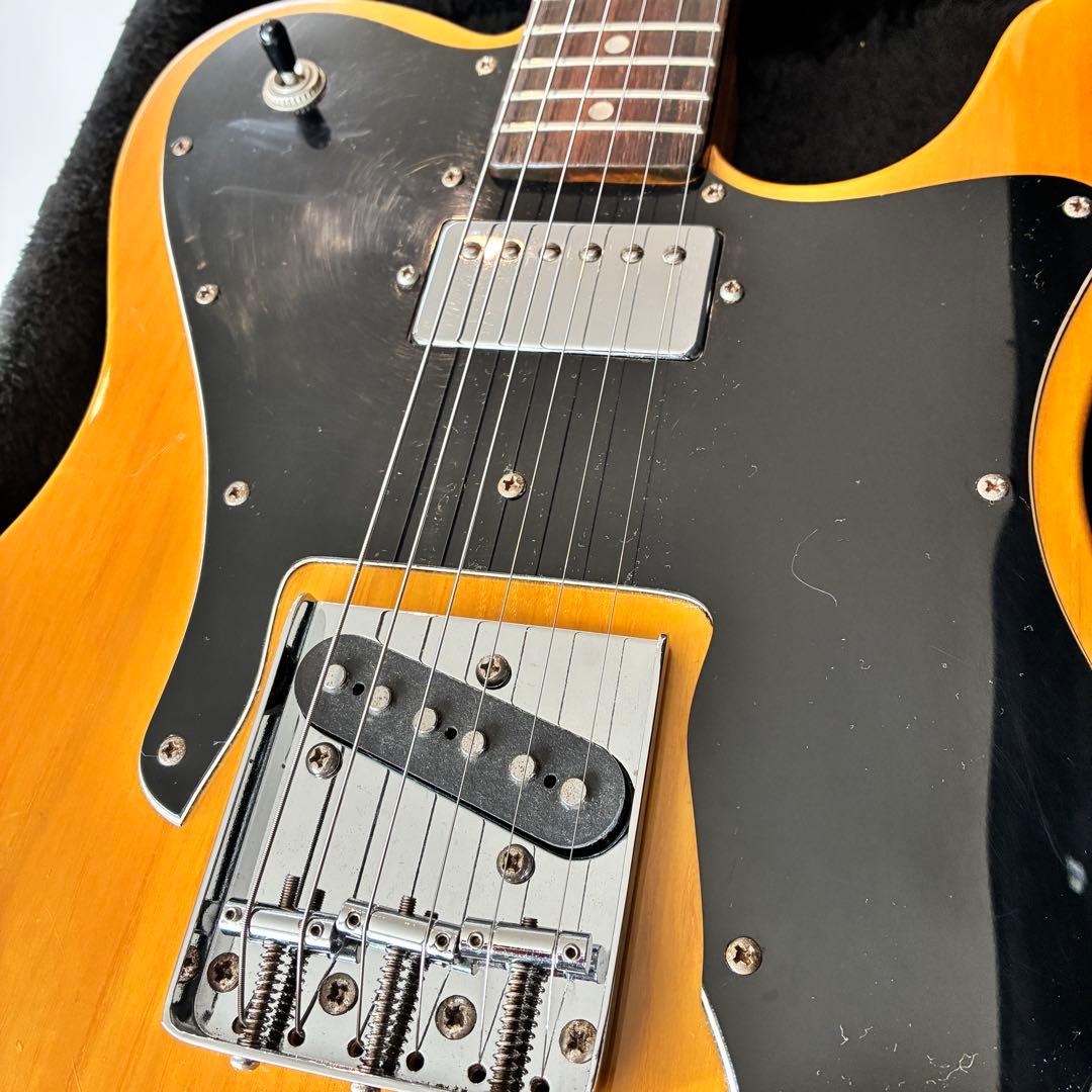 【希少ジャパンヴィンテージ】Brian テレキャスターカスタム　アッシュボディ