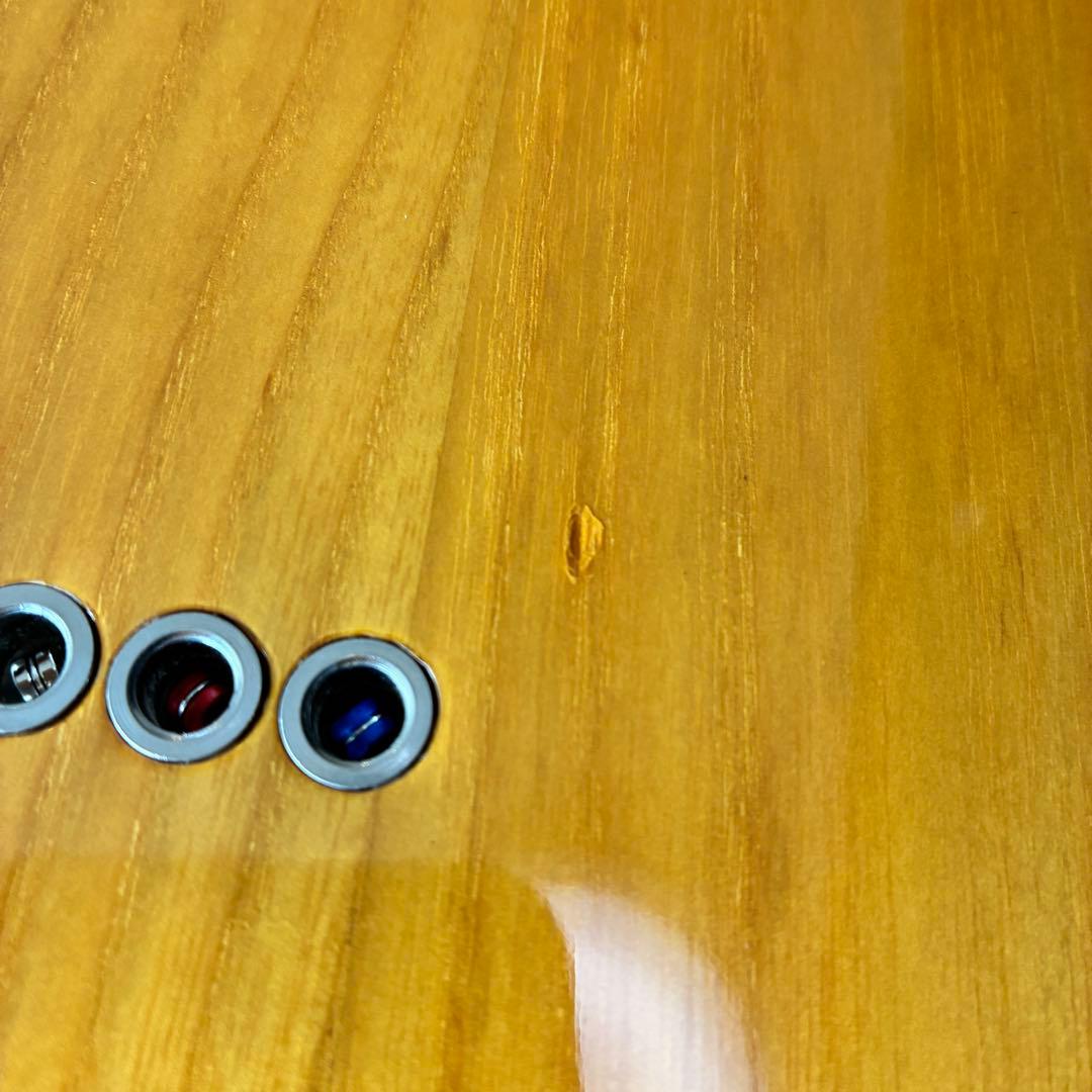 【希少ジャパンヴィンテージ】Brian テレキャスターカスタム　アッシュボディ