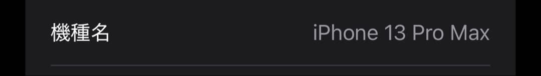Apple iPhone 13 Pro Max 本体