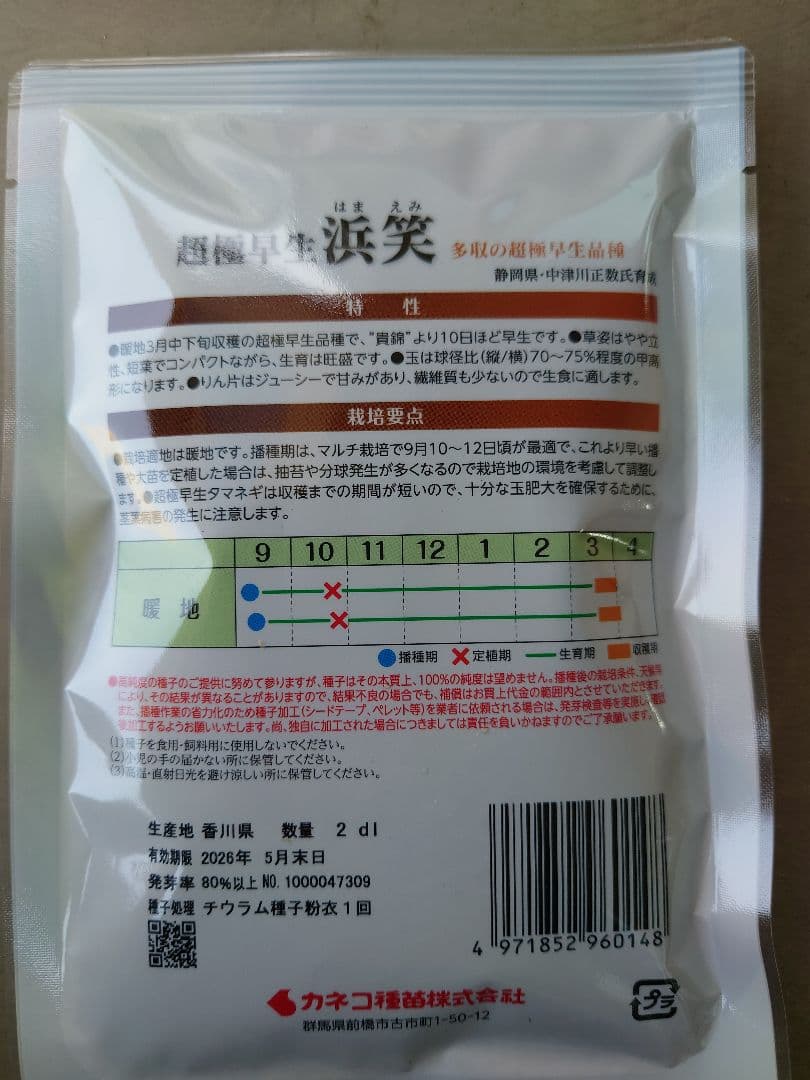 玉ねぎ苗【超極早生品種、浜笑５００本】【野菜苗】【玉葱苗】