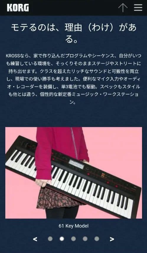 KORG コルグ KROSS 61鍵盤 シンセサイザー　セット売り