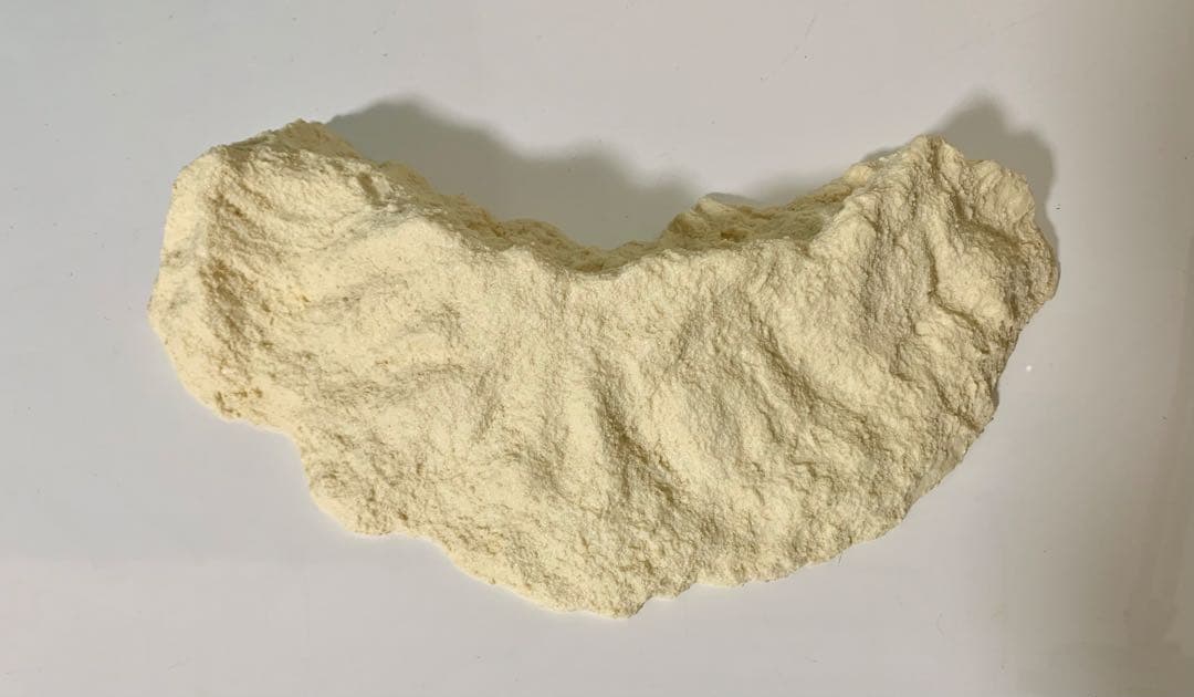 酒井ゆうじ造形工房　ビオゴジ出現(第三種警戒体制-Gが出現した場合)