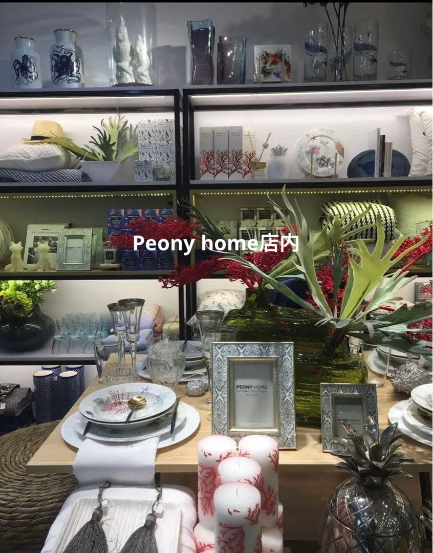 トレー　トレイ　ベトナム　漆　ラッカーPEONY  ベトナム おもてなし