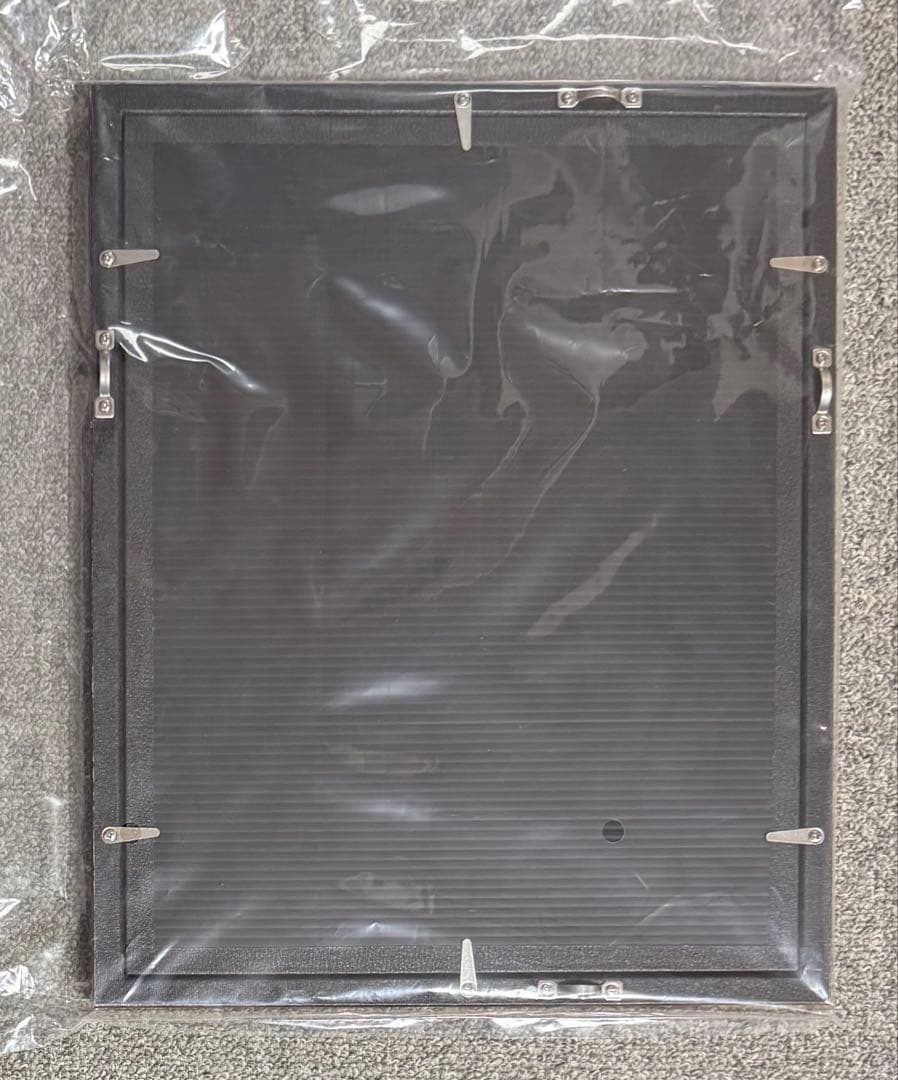 冬目景 アートグラフ 複製原画 直筆サイン・シリアルナンバー入り