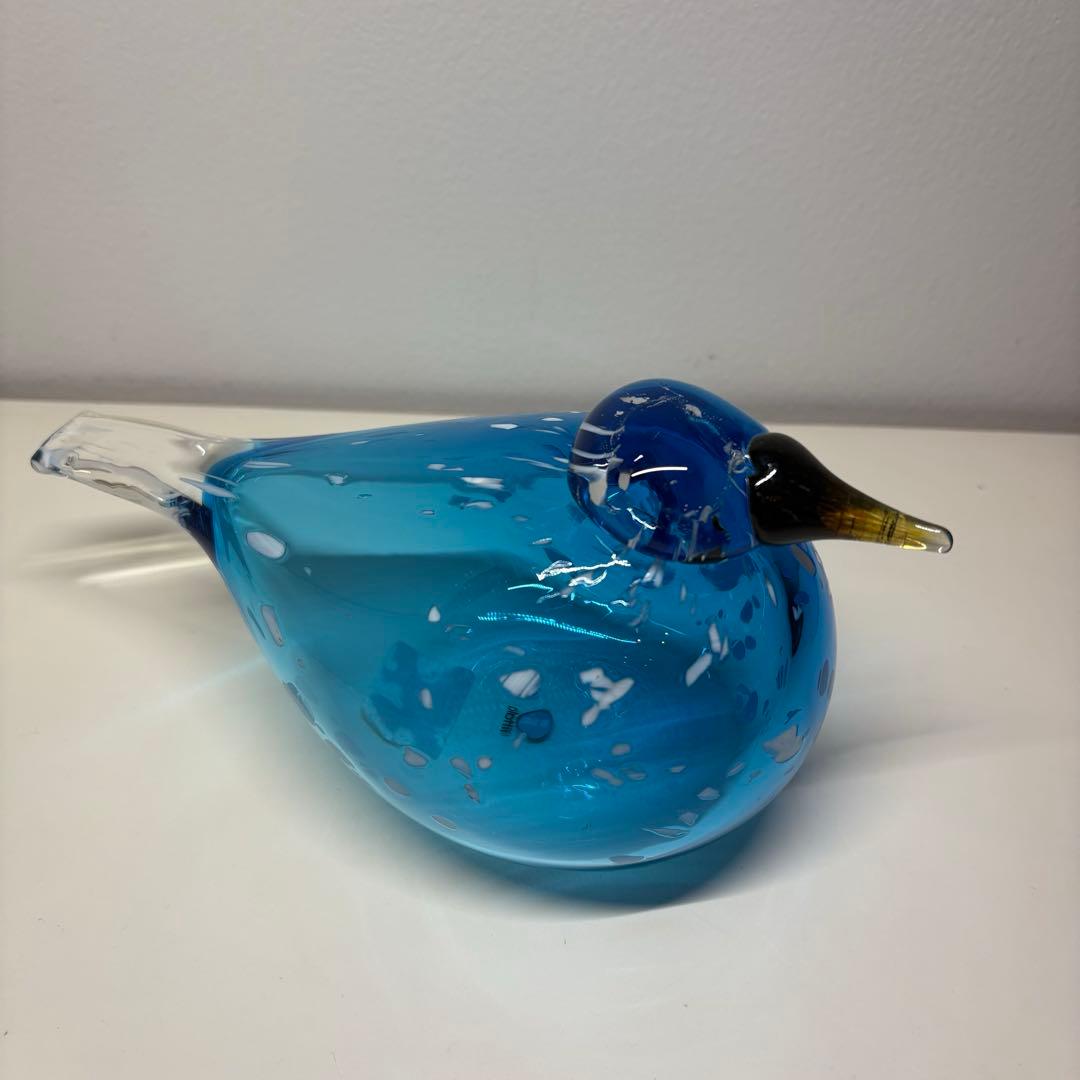 訳アリ※イッタラ バード ブルーフィンチ 北米限定