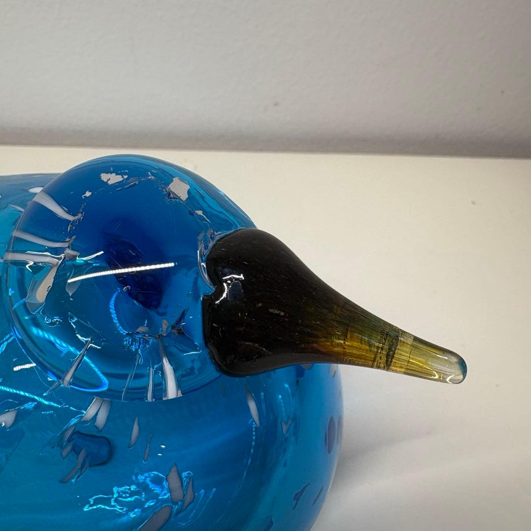 訳アリ※イッタラ バード ブルーフィンチ 北米限定