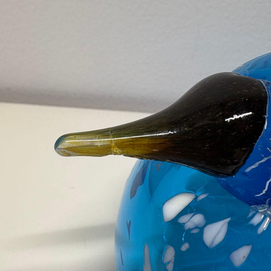 訳アリ※イッタラ バード ブルーフィンチ 北米限定