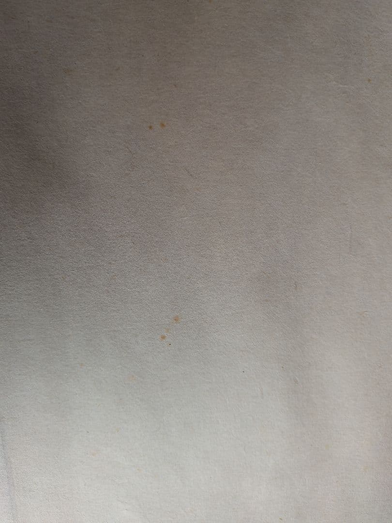 No.4　掛軸　水墨画　水墨山水　倉田稔　日本画　おもてなし　共箱