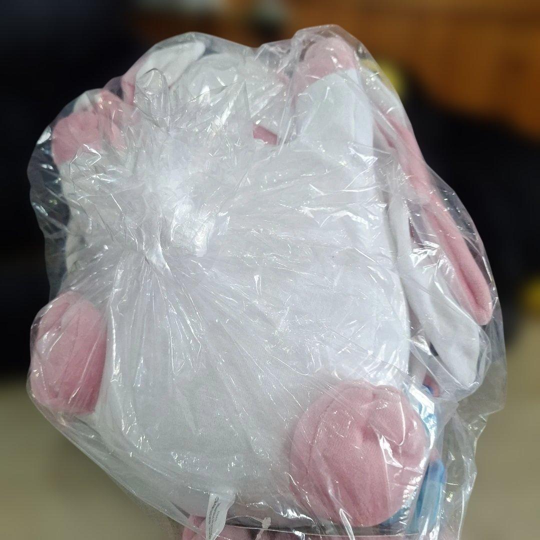 未開封あり　すやすや　シャワーズ　ニンフィア　リーフィア　ポケモンセンター