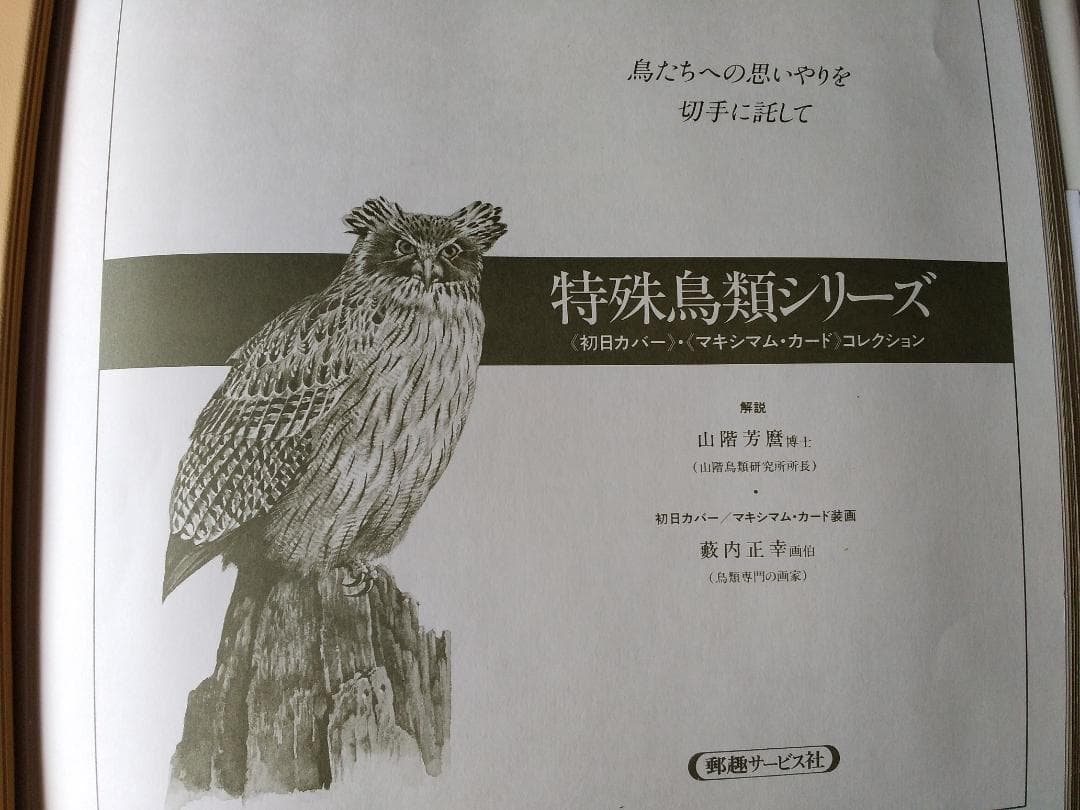 初日カバー マキシマムカード 特殊鳥類シリーズ切手コレクション 22通 新品