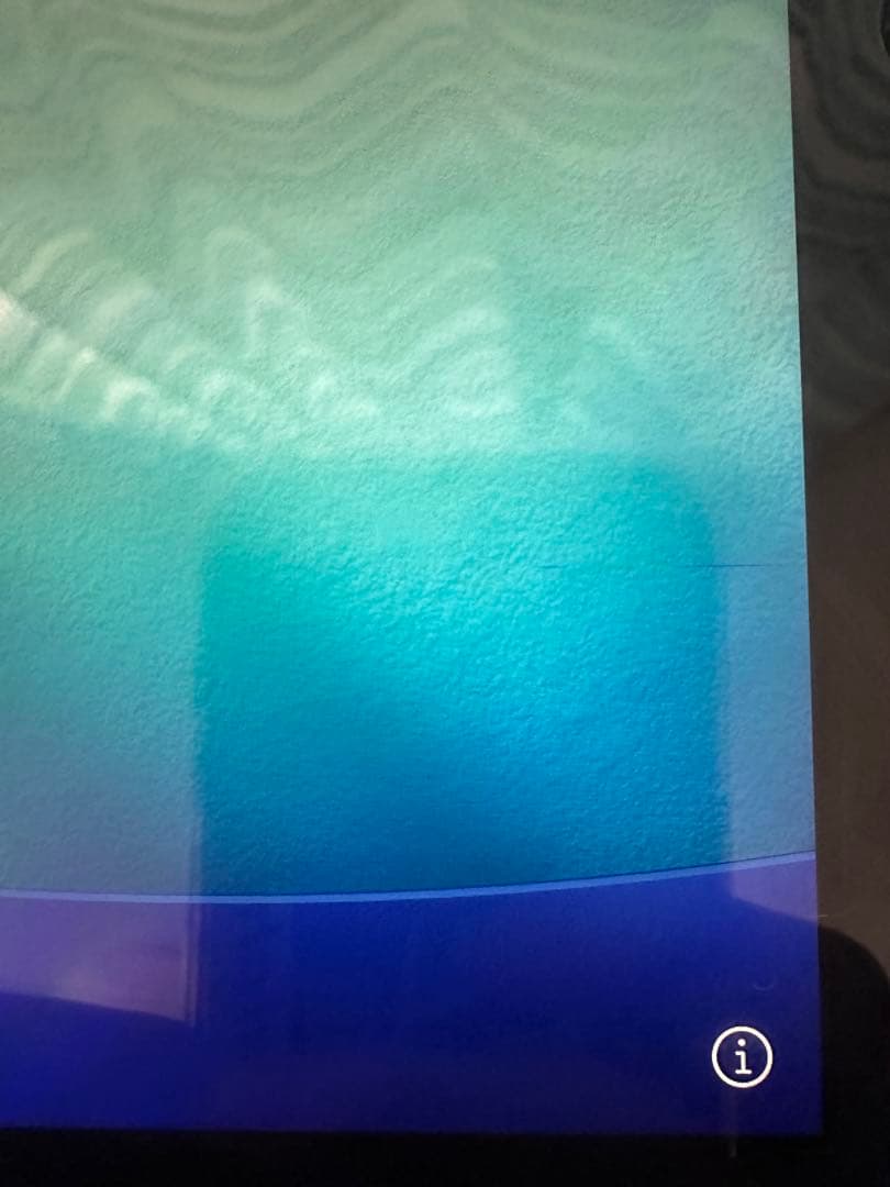 iPad 第9世代 ジャンク 充電不可