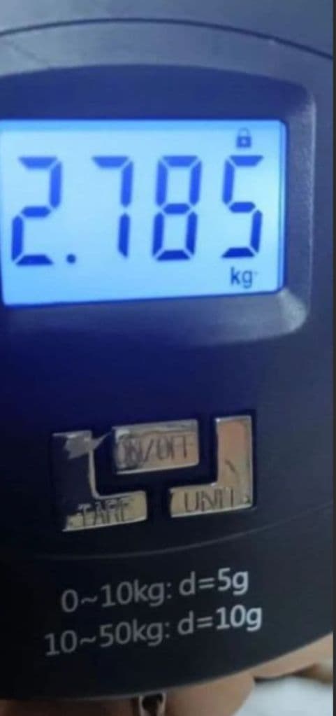 【 Head】ストラト　タイプギター ST-1R SWH ホワイト