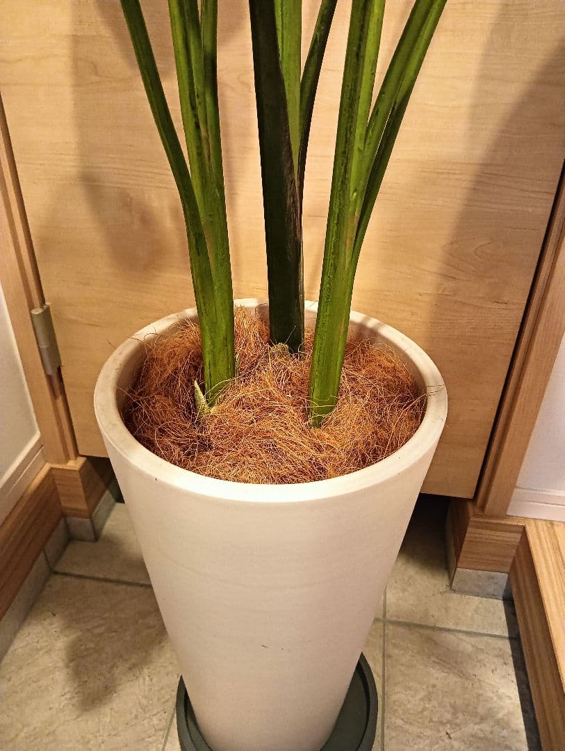 フェークグリーン大型サイズ観葉植物 人工 樹木 バナナツリー