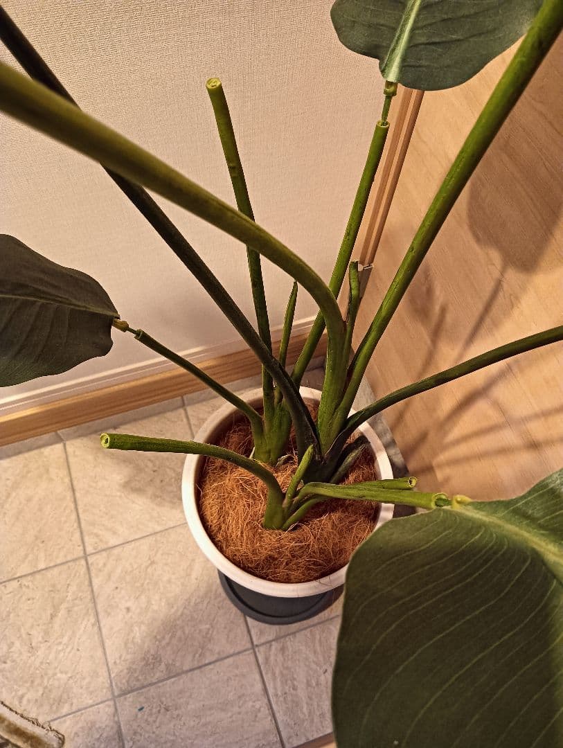 フェークグリーン大型サイズ観葉植物 人工 樹木 バナナツリー