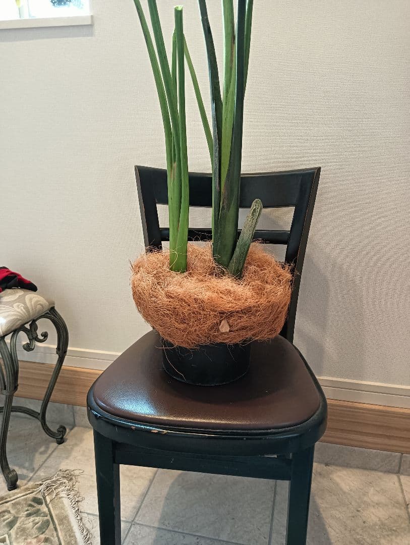 フェークグリーン大型サイズ観葉植物 人工 樹木 バナナツリー