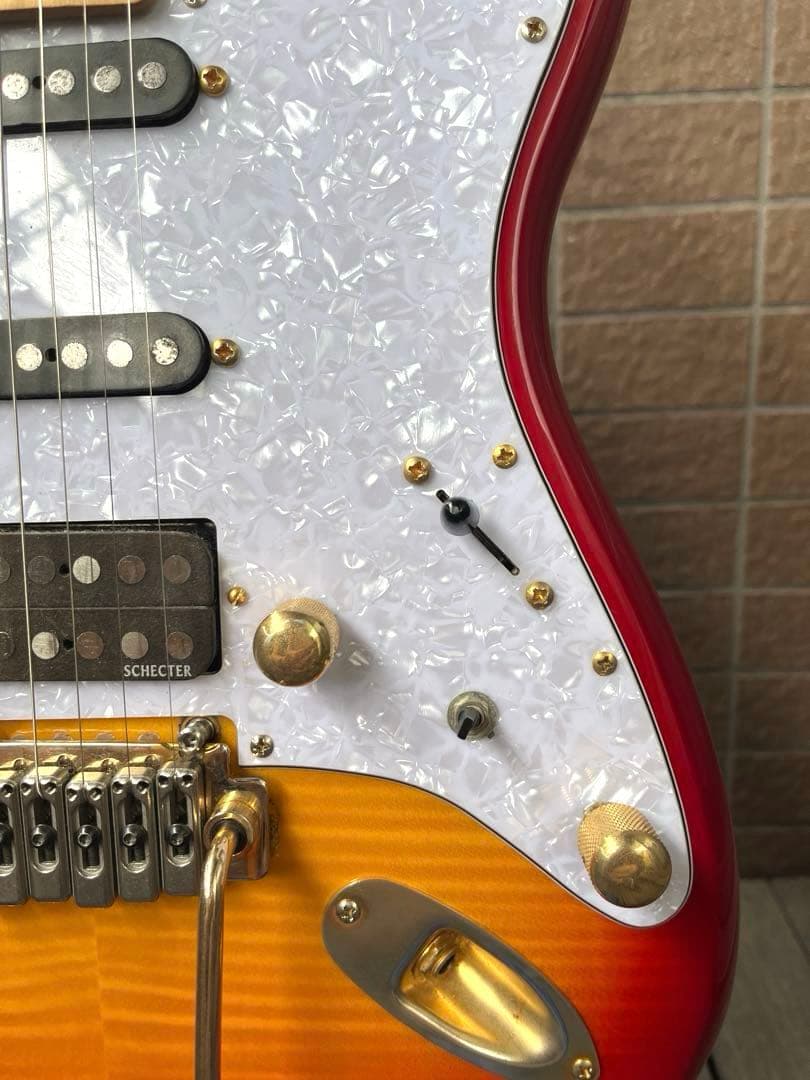 【動作◯】 シェクターネック コンポーネントギター