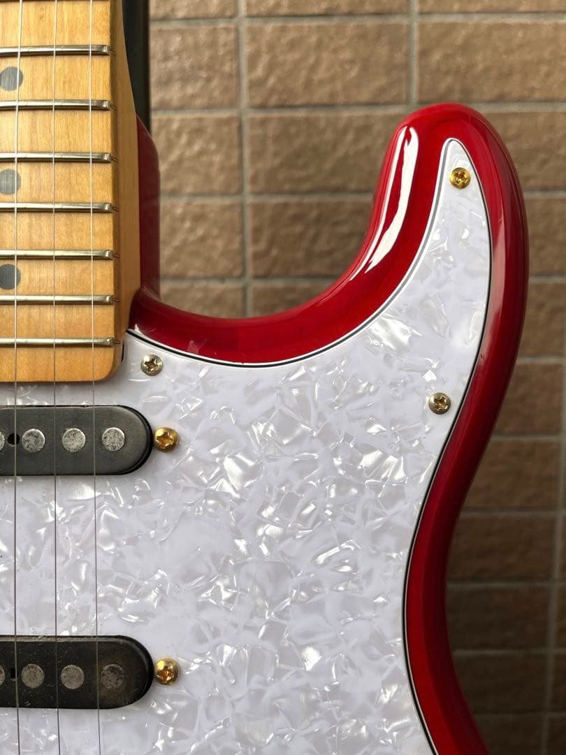 【動作◯】 シェクターネック コンポーネントギター