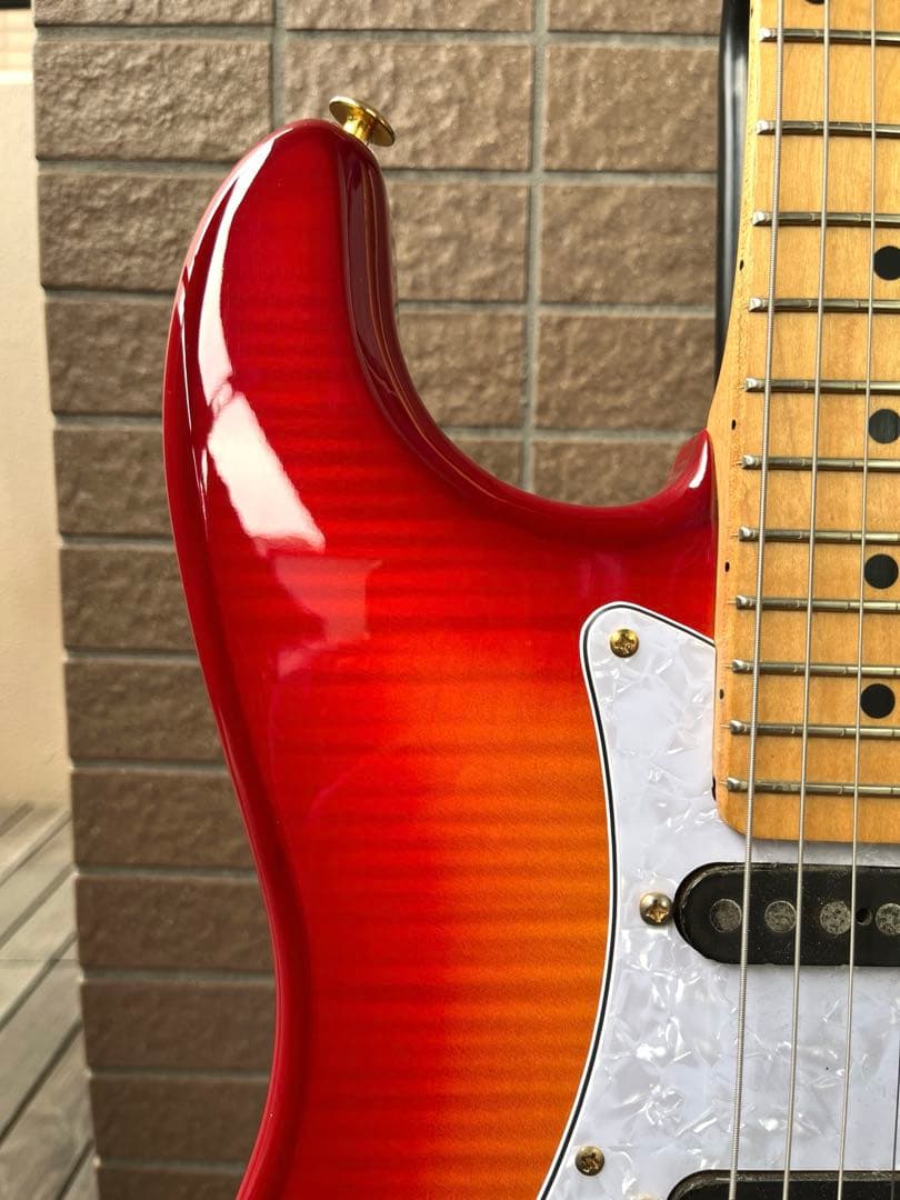 【動作◯】 シェクターネック コンポーネントギター