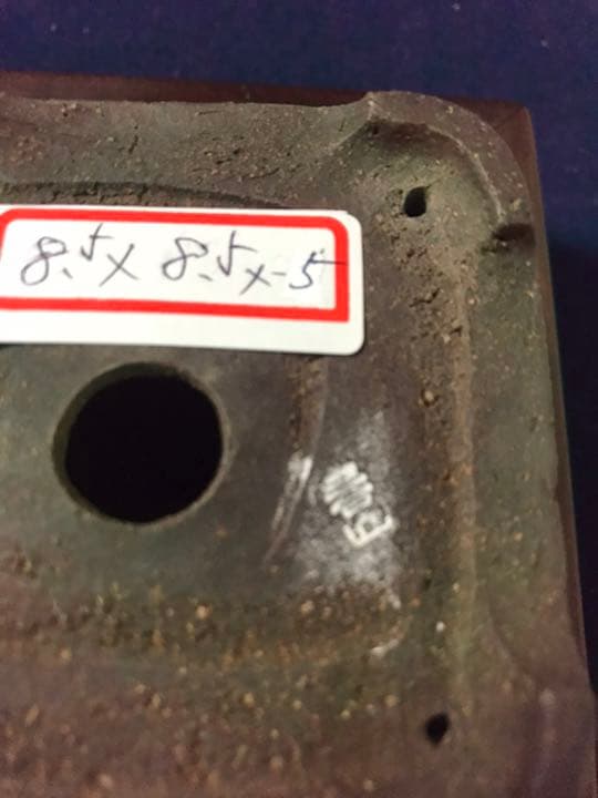 1349 盆栽　盆栽鉢　植木鉢　和鉢　梨皮正方鉢　春山