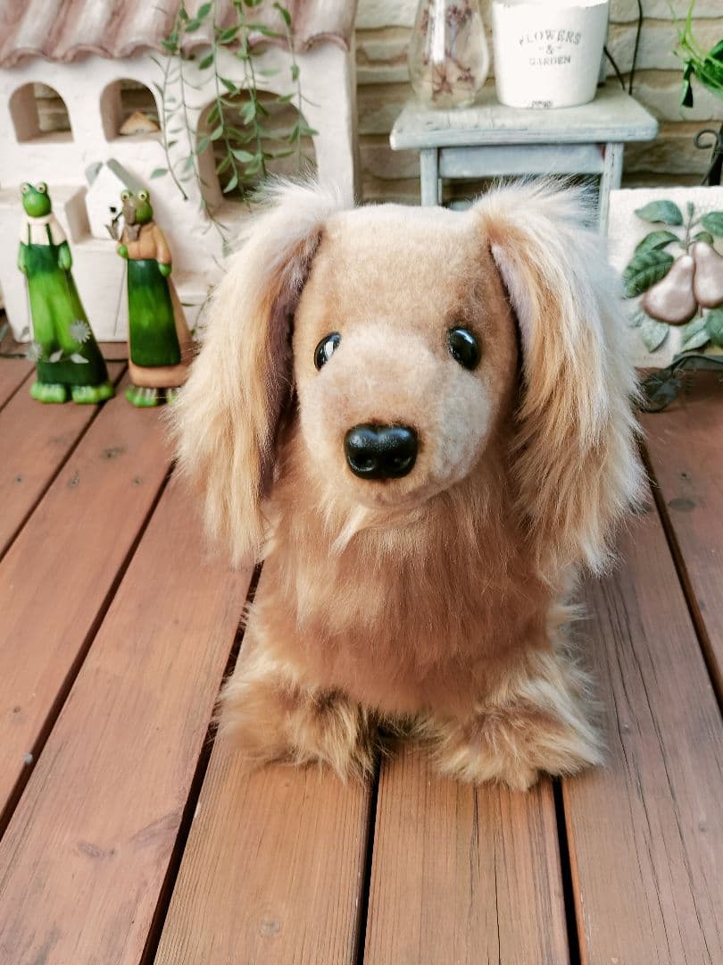 実寸大　ダックス　レッド