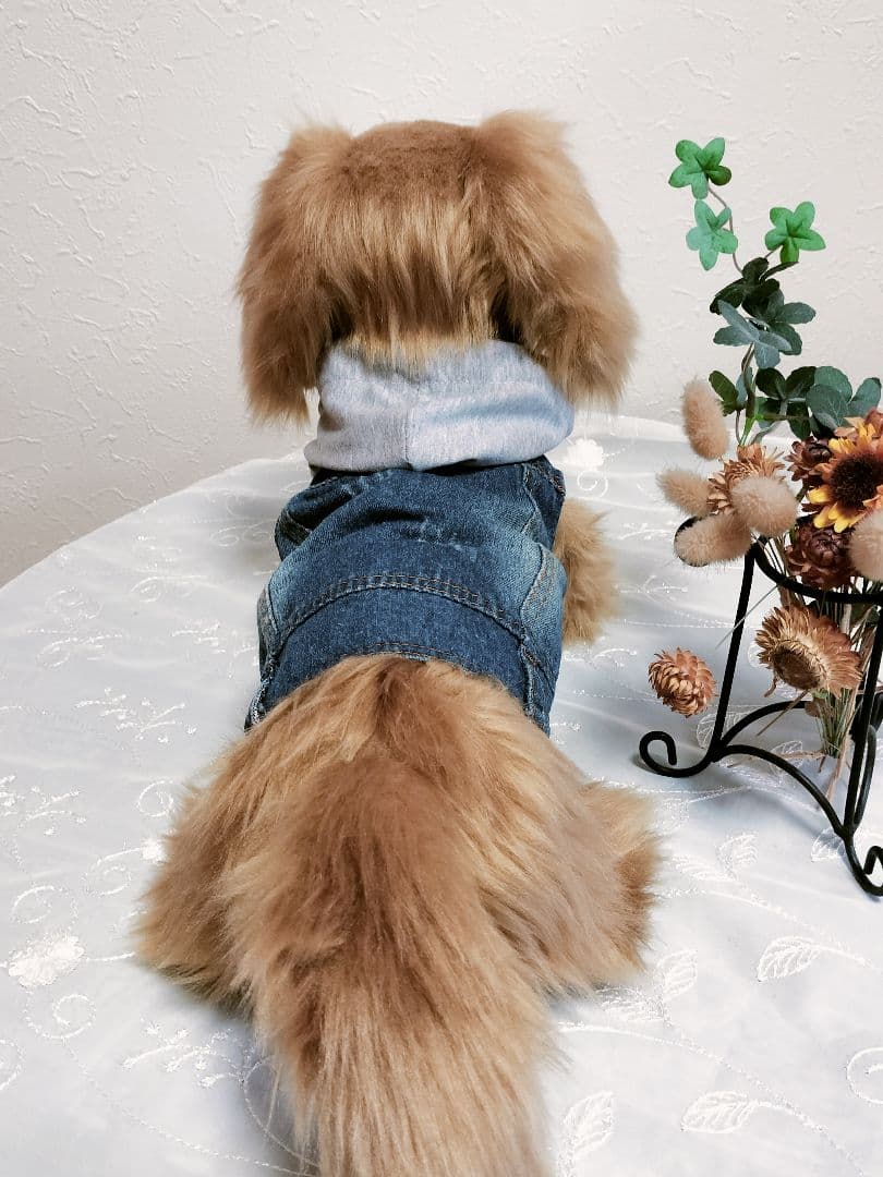 実寸大　ダックス　レッド