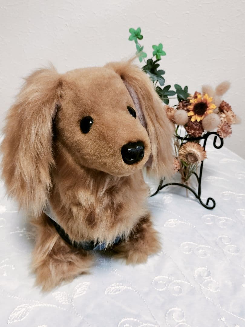 実寸大　ダックス　レッド