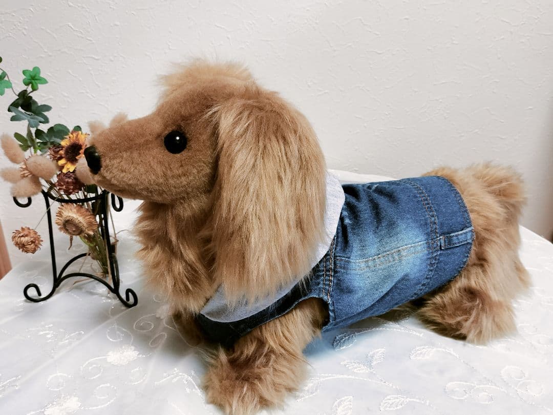 実寸大　ダックス　レッド