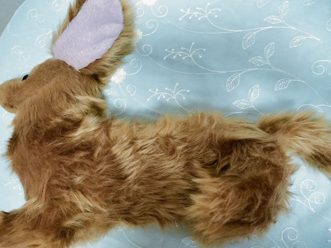 実寸大　ダックス　レッド