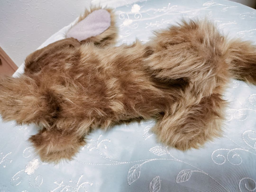 実寸大　ダックス　レッド