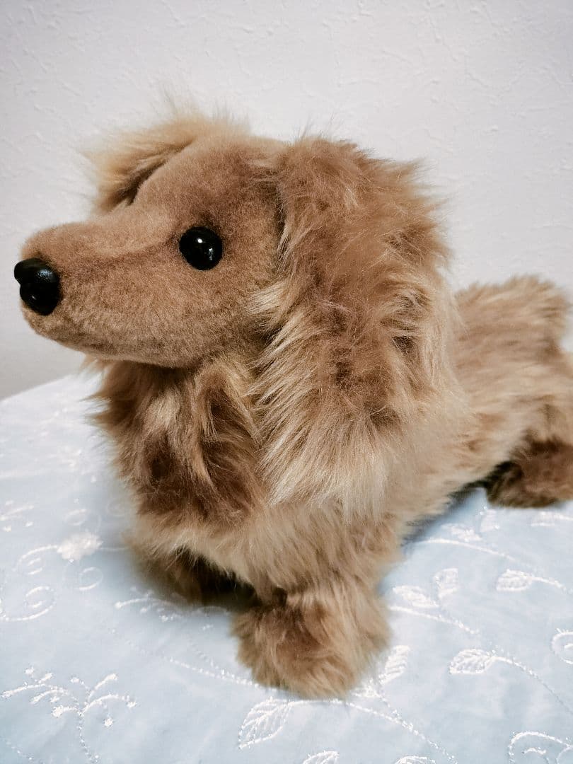 実寸大　ダックス　レッド