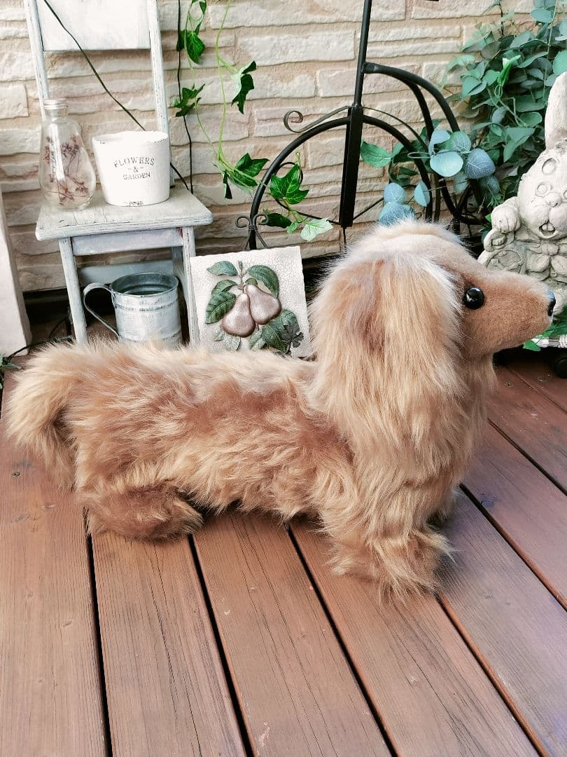 実寸大　ダックス　レッド