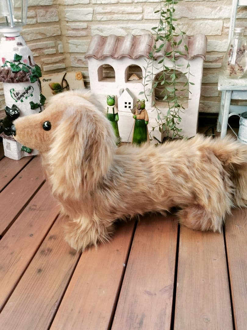 実寸大　ダックス　レッド