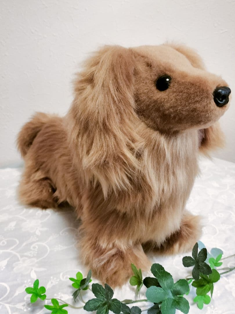 実寸大　ダックス　レッド