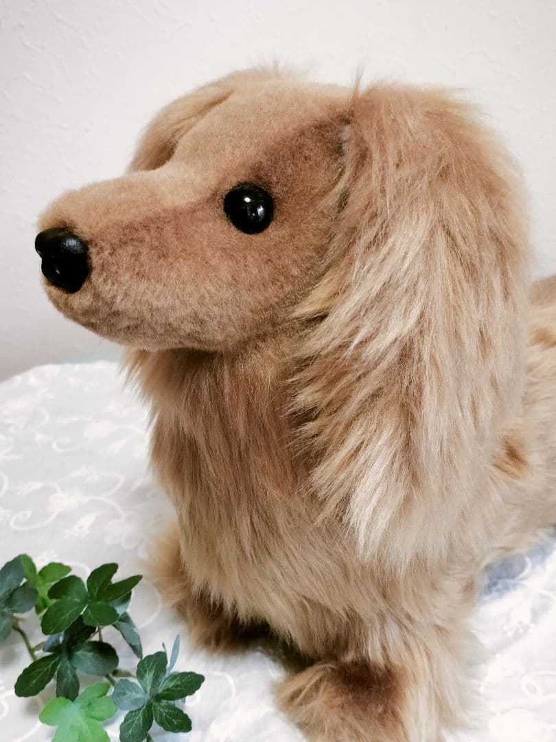 実寸大　ダックス　レッド