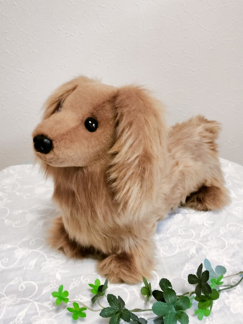 実寸大　ダックス　レッド