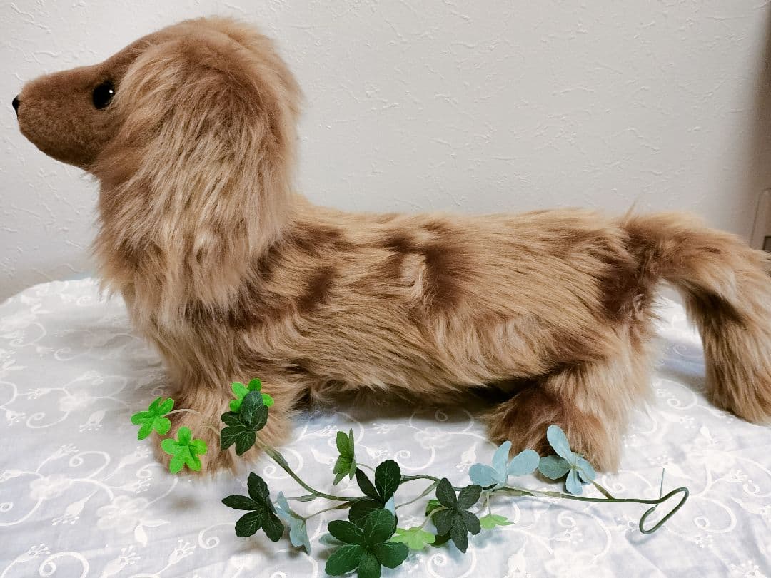 実寸大　ダックス　レッド