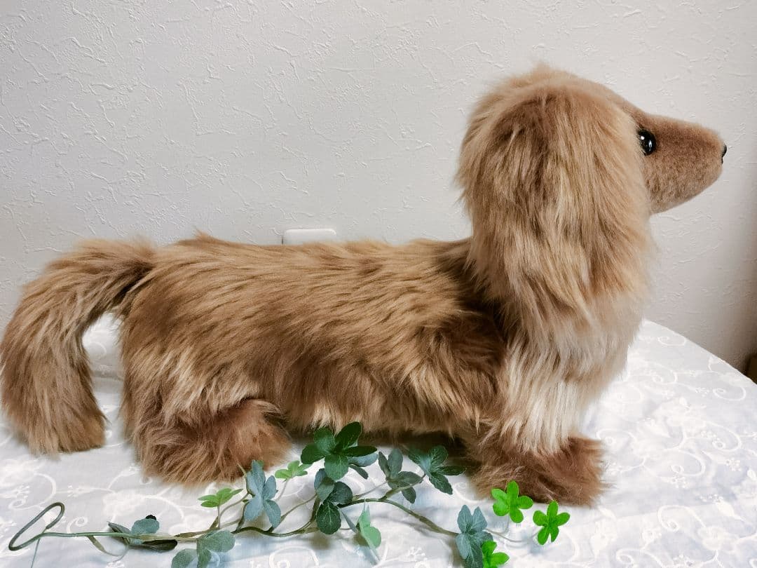 実寸大　ダックス　レッド