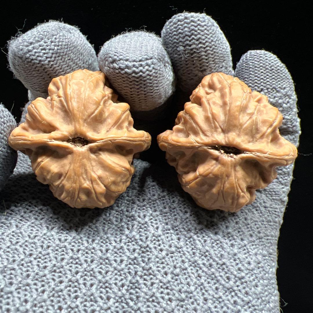 文玩堂：【鳳凰台獅子頭】春秋大業に乾隆磨あり、最も美しいのは鳳凰台。