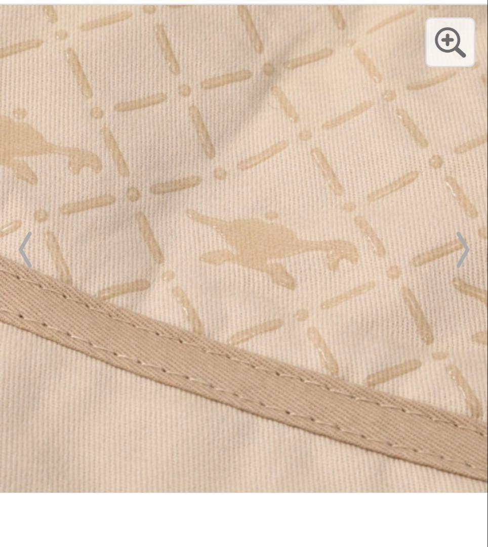 アラジン グラファイトグリル&トースター AET-GP14Bグリーン